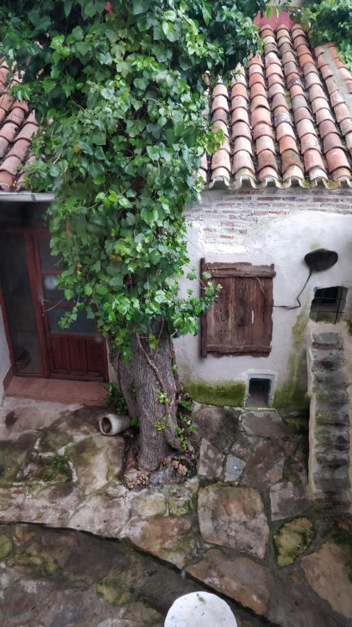 Airam Home Aragon, 7 Almansa Esterno foto